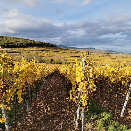 La Grange De Louis Villa Turckheim Bagian luar foto